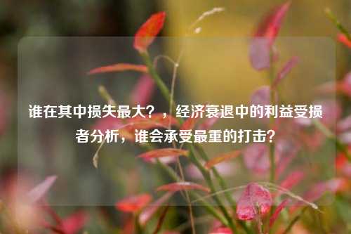 谁在其中损失最大？，经济衰退中的利益受损者分析，谁会承受最重的打击？