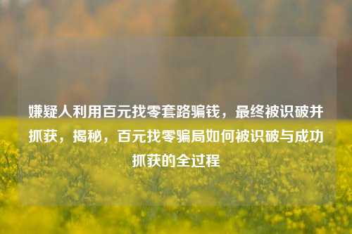 嫌疑人利用百元找零套路骗钱，最终被识破并抓获，揭秘，百元找零骗局如何被识破与成功抓获的全过程