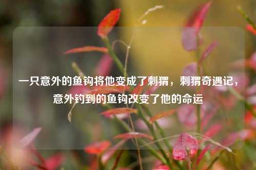 一只意外的鱼钩将他变成了刺猬，刺猬奇遇记，意外钓到的鱼钩改变了他的命运
