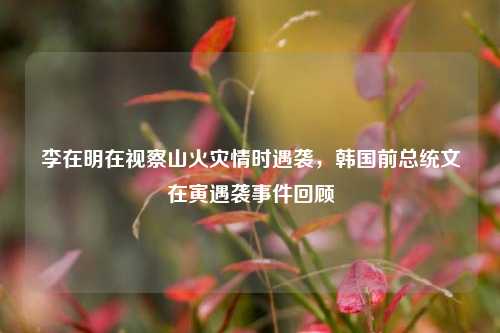 李在明在视察山火灾情时遇袭，韩国前总统文在寅遇袭事件回顾