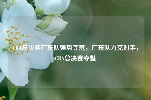 CBA总决赛广东队强势夺冠，广东队力克对手，CBA总决赛夺魁