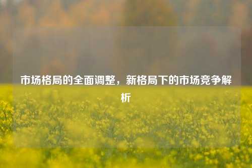 市场格局的全面调整，新格局下的市场竞争解析