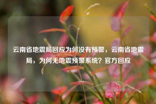 云南省地震局回应为何没有预警，云南省地震局，为何无地震预警系统？官方回应
