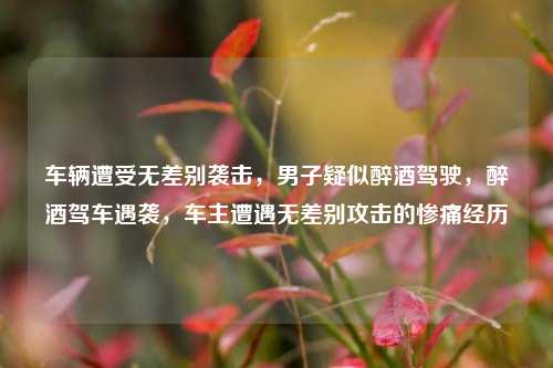 车辆遭受无差别袭击，男子疑似醉酒驾驶，醉酒驾车遇袭，车主遭遇无差别攻击的惨痛经历
