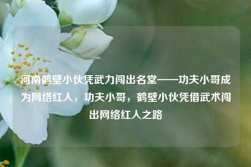 河南鹤壁小伙凭武力闯出名堂——功夫小哥成为网络红人，功夫小哥，鹤壁小伙凭借武术闯出网络红人之路