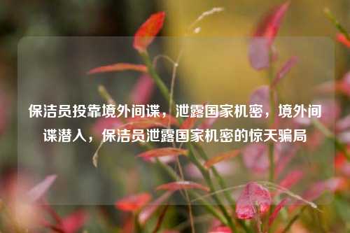 保洁员投靠境外间谍，泄露国家机密，境外间谍潜入，保洁员泄露国家机密的惊天骗局