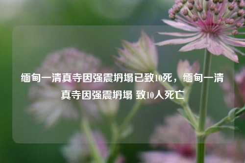 缅甸一清真寺因强震坍塌已致10死，缅甸一清真寺因强震坍塌 致10人死亡