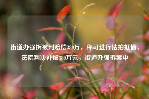 街道办强拆被判赔偿380万，称可进行法拍抵债，法院判决补偿380万元，街道办强拆案中
