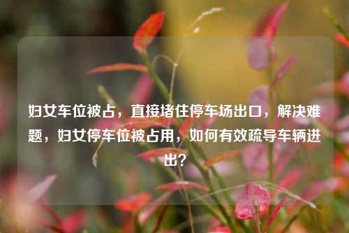 妇女车位被占，直接堵住停车场出口，解决难题，妇女停车位被占用，如何有效疏导车辆进出？