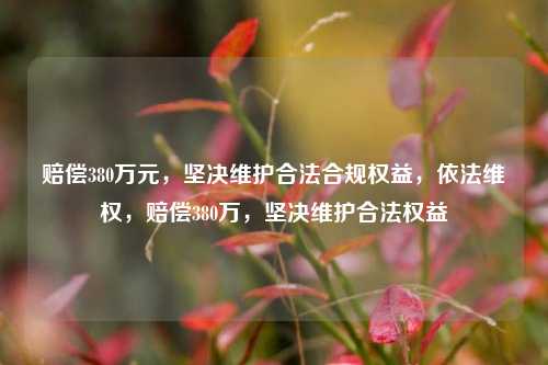 赔偿380万元，坚决维护合法合规权益，依法维权，赔偿380万，坚决维护合法权益