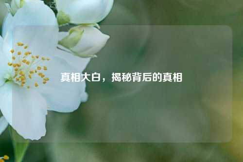 真相大白，揭秘背后的真相
