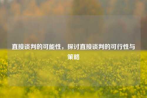 直接谈判的可能性，探讨直接谈判的可行性与策略