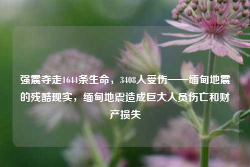 强震夺走1644条生命，3408人受伤——缅甸地震的残酷现实，缅甸地震造成巨大人员伤亡和财产损失