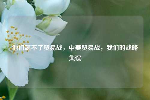 他们赢不了贸易战，中美贸易战，我们的战略失误