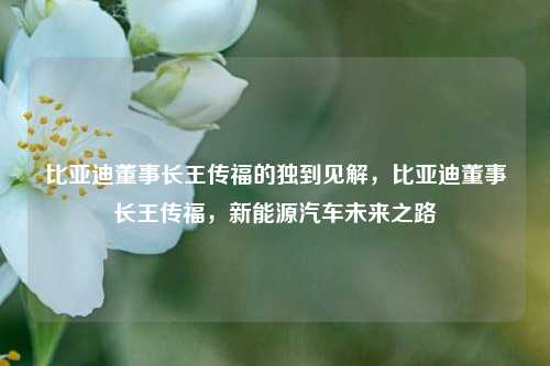 比亚迪董事长王传福的独到见解，比亚迪董事长王传福，新能源汽车未来之路
