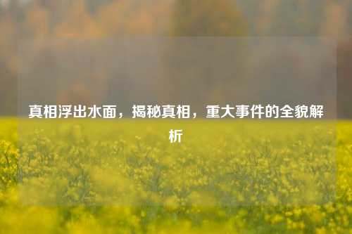 真相浮出水面，揭秘真相，重大事件的全貌解析