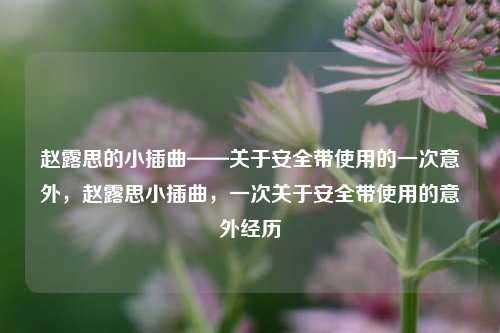 赵露思的小插曲——关于安全带使用的一次意外，赵露思小插曲，一次关于安全带使用的意外经历