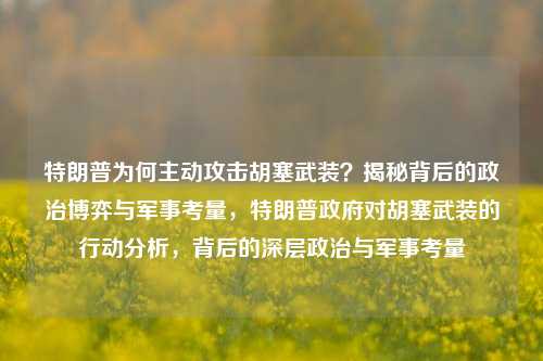 特朗普为何主动攻击胡塞武装？揭秘背后的政治博弈与军事考量，特朗普政府对胡塞武装的行动分析，背后的深层政治与军事考量