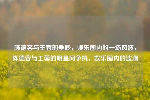 陈德容与王蓉的争吵，娱乐圈内的一场风波，陈德容与王蓉的明星间争执，娱乐圈内的波澜