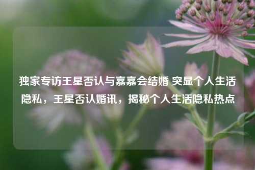 独家专访王星否认与嘉嘉会结婚 突显个人生活隐私，王星否认婚讯，揭秘个人生活隐私热点