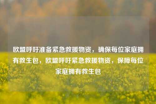 欧盟呼吁准备紧急救援物资，确保每位家庭拥有救生包，欧盟呼吁紧急救援物资，保障每位家庭拥有救生包