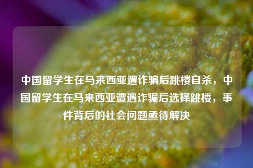 中国留学生在马来西亚遭诈骗后跳楼自杀，中国留学生在马来西亚遭遇诈骗后选择跳楼，事件背后的社会问题亟待解决