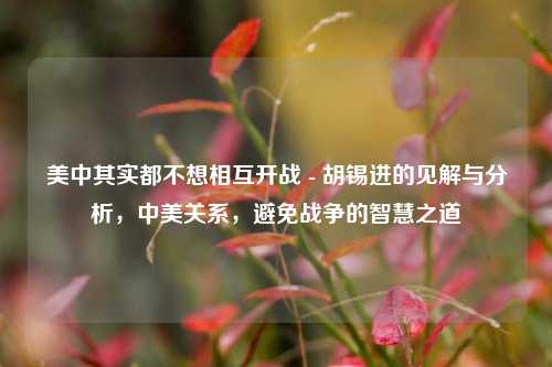 美中其实都不想相互开战 - 胡锡进的见解与分析，中美关系，避免战争的智慧之道