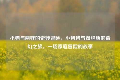 小狗与两娃的奇妙冒险，小狗狗与双胞胎的奇幻之旅，一场家庭冒险的故事