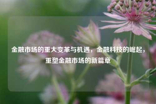 金融市场的重大变革与机遇，金融科技的崛起，重塑金融市场的新篇章