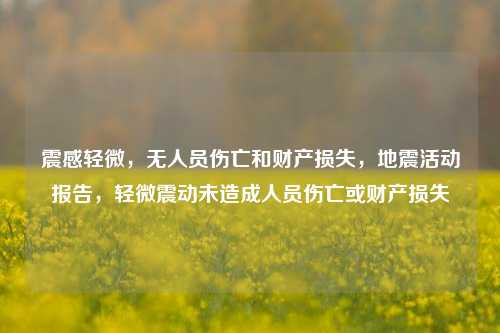 震感轻微，无人员伤亡和财产损失，地震活动报告，轻微震动未造成人员伤亡或财产损失