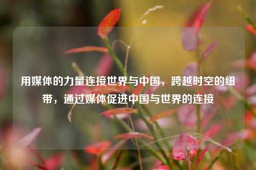 用媒体的力量连接世界与中国，跨越时空的纽带，通过媒体促进中国与世界的连接