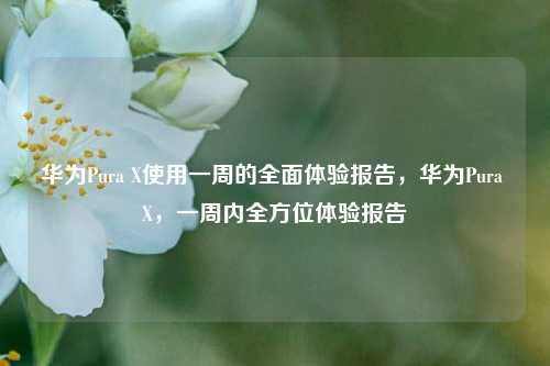 华为Pura X使用一周的全面体验报告，华为Pura X，一周内全方位体验报告
