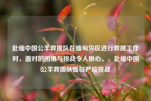 赴缅中国公羊救援队在缅甸灾区进行救援工作时，面对的困境与挑战令人揪心。，赴缅中国公羊救援队面临严峻挑战