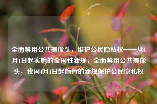 全面禁用公共摄像头，维护公民隐私权——从4月1日起实施的全国性新规，全面禁用公共摄像头，我国4月1日起施行的新规保护公民隐私权