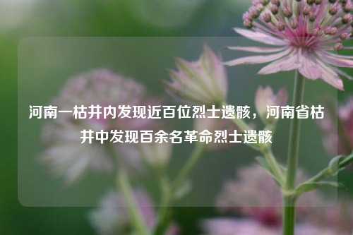 河南一枯井内发现近百位烈士遗骸，河南省枯井中发现百余名革命烈士遗骸