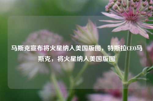 马斯克宣布将火星纳入美国版图，特斯拉CEO马斯克，将火星纳入美国版图