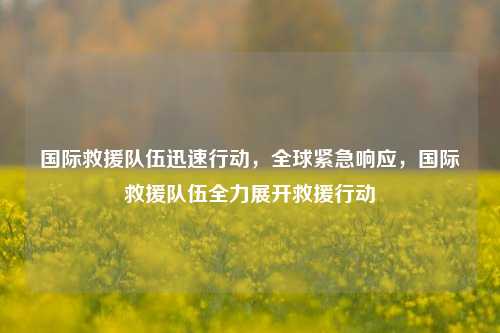 国际救援队伍迅速行动，全球紧急响应，国际救援队伍全力展开救援行动