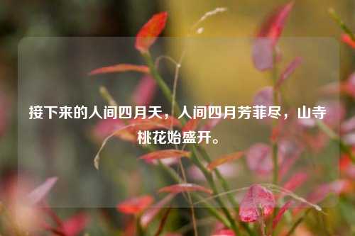 接下来的人间四月天，人间四月芳菲尽，山寺桃花始盛开。