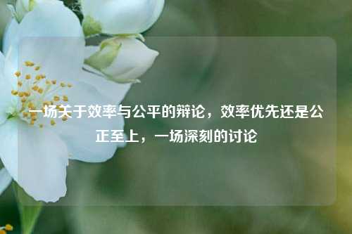 一场关于效率与公平的辩论，效率优先还是公正至上，一场深刻的讨论