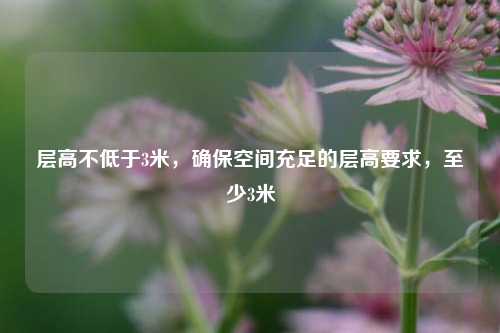 层高不低于3米，确保空间充足的层高要求，至少3米