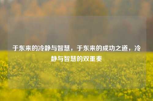 于东来的冷静与智慧，于东来的成功之道，冷静与智慧的双重奏
