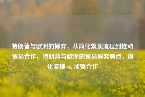 特朗普与欧洲的博弈，从简化繁琐流程到推动贸易合作，特朗普与欧洲的贸易博弈焦点，简化流程 vs. 加强合作