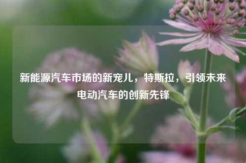 新能源汽车市场的新宠儿，特斯拉，引领未来电动汽车的创新先锋