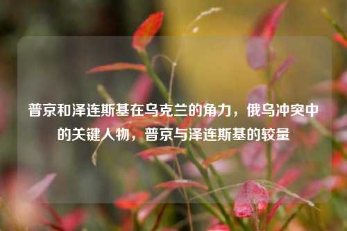 普京和泽连斯基在乌克兰的角力，俄乌冲突中的关键人物，普京与泽连斯基的较量
