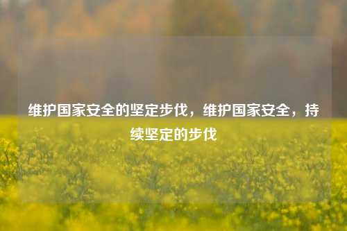 维护国家安全的坚定步伐，维护国家安全，持续坚定的步伐