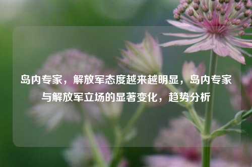 岛内专家，解放军态度越来越明显，岛内专家与解放军立场的显著变化，趋势分析