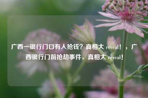 广西一银行门口有人抢钱？真相大 reveal！，广西银行门前抢劫事件，真相大 reveal！