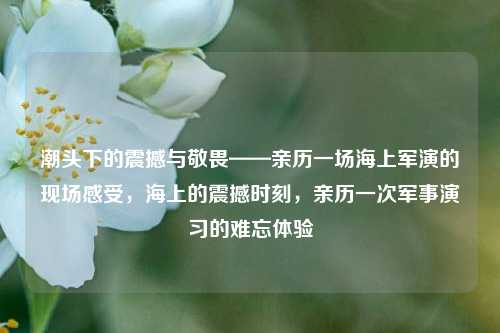 潮头下的震撼与敬畏——亲历一场海上军演的现场感受，海上的震撼时刻，亲历一次军事演习的难忘体验