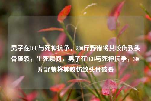 男子在ICU与死神抗争，300斤野猪将其咬伤致头骨破裂，生死瞬间，男子在ICU与死神抗争，300斤野猪将其咬伤致头骨破裂