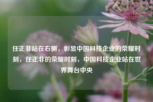 任正非站在右侧，彰显中国科技企业的荣耀时刻，任正非的荣耀时刻，中国科技企业站在世界舞台中央